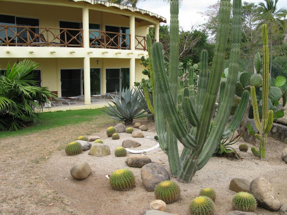 Casa Del Sol Lejlighedshotel Lo de Marcos Eksteriør billede